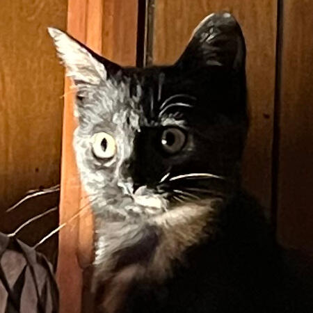 TinKanTourist Cole Stephenson